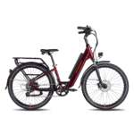 RadCity™ 5 Plus Electric Commuter Bike
