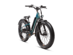 RadRover™ 6 Plus Electric Fat Tire Bike - Image 2