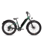 RadRover™ 6 Plus Electric Fat Tire Bike