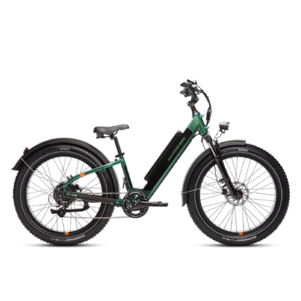 RadRover™ 6 Plus Electric Fat Tire Bike