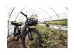 RadRover™ 6 Plus Electric Fat Tire Bike - Image 9