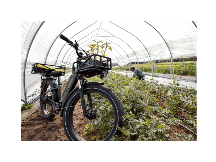 RadRover™ 6 Plus Electric Fat Tire Bike - Image 9