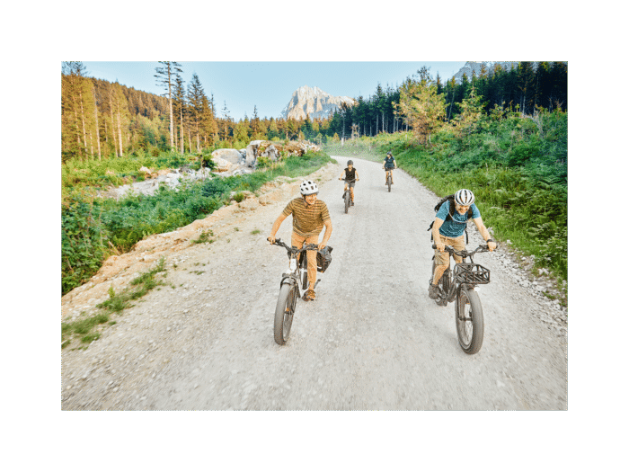 RadRover™ 6 Plus Electric Fat Tire Bike - Image 10