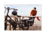 RadWagon™ 4 Electric Cargo Bike - Image 9