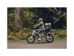 RadWagon™ 4 Electric Cargo Bike - Image 11